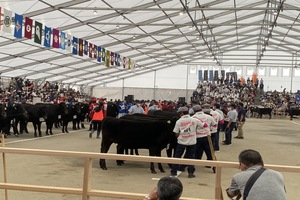 第12回全国和牛能力共進会鹿児島大会の様子