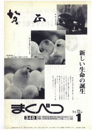 広報まくべつ 1981年1月号