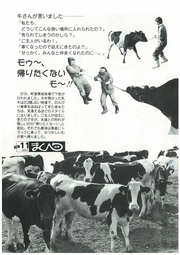 広報まくべつ 11月号（No.514）