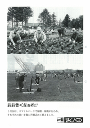 広報まくべつ 6月号（No.545）